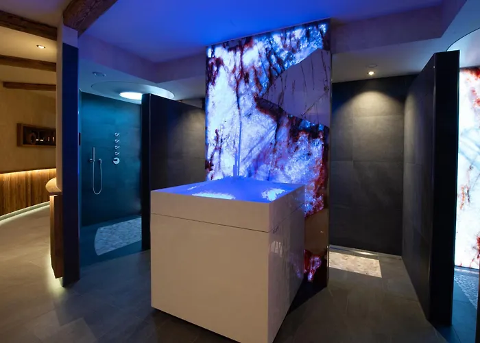 호텔 Wellness-hotel Adler 2*