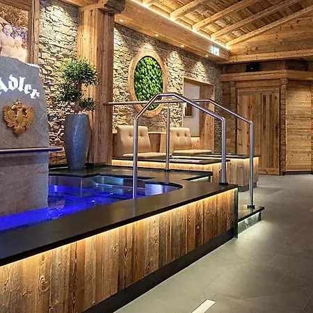 Wellness-hotel Adler 2* 巴特沃里斯霍芬