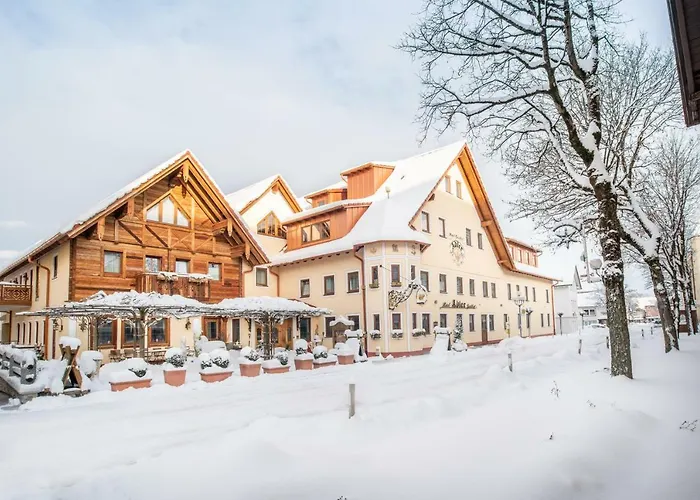 Wellness-hotel Adler 2*